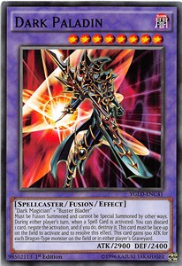 Dark Paladin 