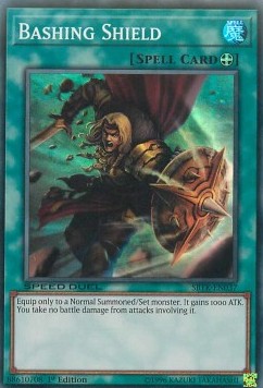 Bashing Shield 