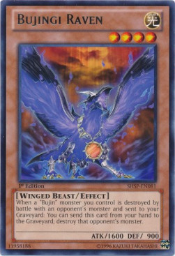 Bujingi Raven 