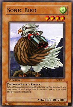 Sonic Bird 