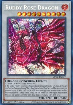 Ruddy Rose Dragon 