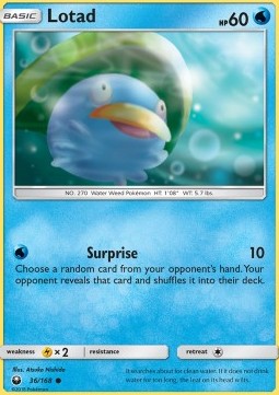 Lotad 
