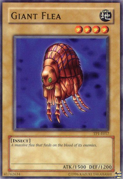 Giant Flea 