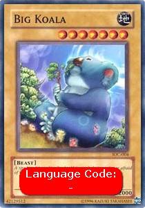Big Koala 
