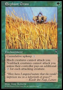 Elephant Grass 