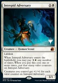 Intrepid Adversary (V.2) 
