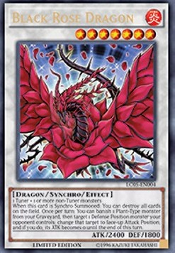 Black Rose Dragon 