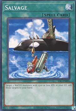 Salvage 