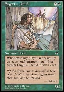 Fugitive Druid 