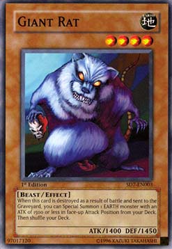 Giant Rat 