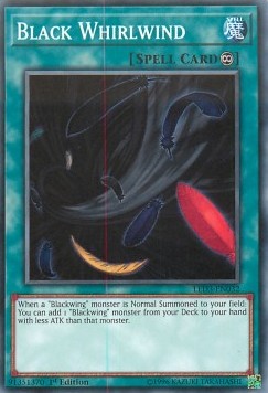 Black Whirlwind 