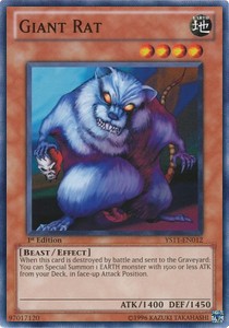 Giant Rat 