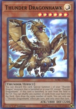 Thunder Dragonhawk 