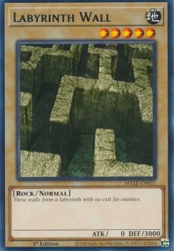 Labyrinth Wall 