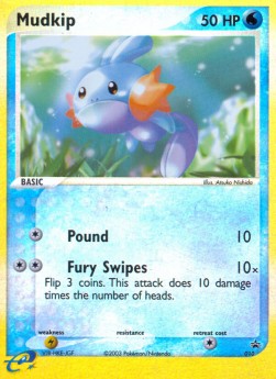 Mudkip 
