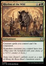 Rhythm of the Wild 