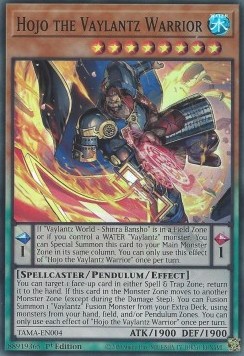 Hojo the Vaylantz Warrior 