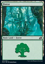 Forest (V.2) 