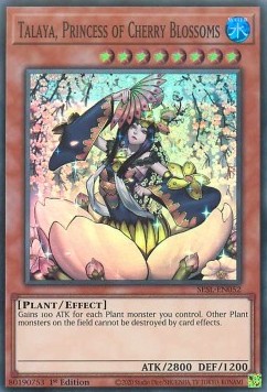 Talaya, Princess of Cherry Blossoms 